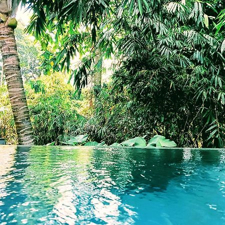 Hotel Ngesil Private Joglo & Pool Ubud Esterno foto