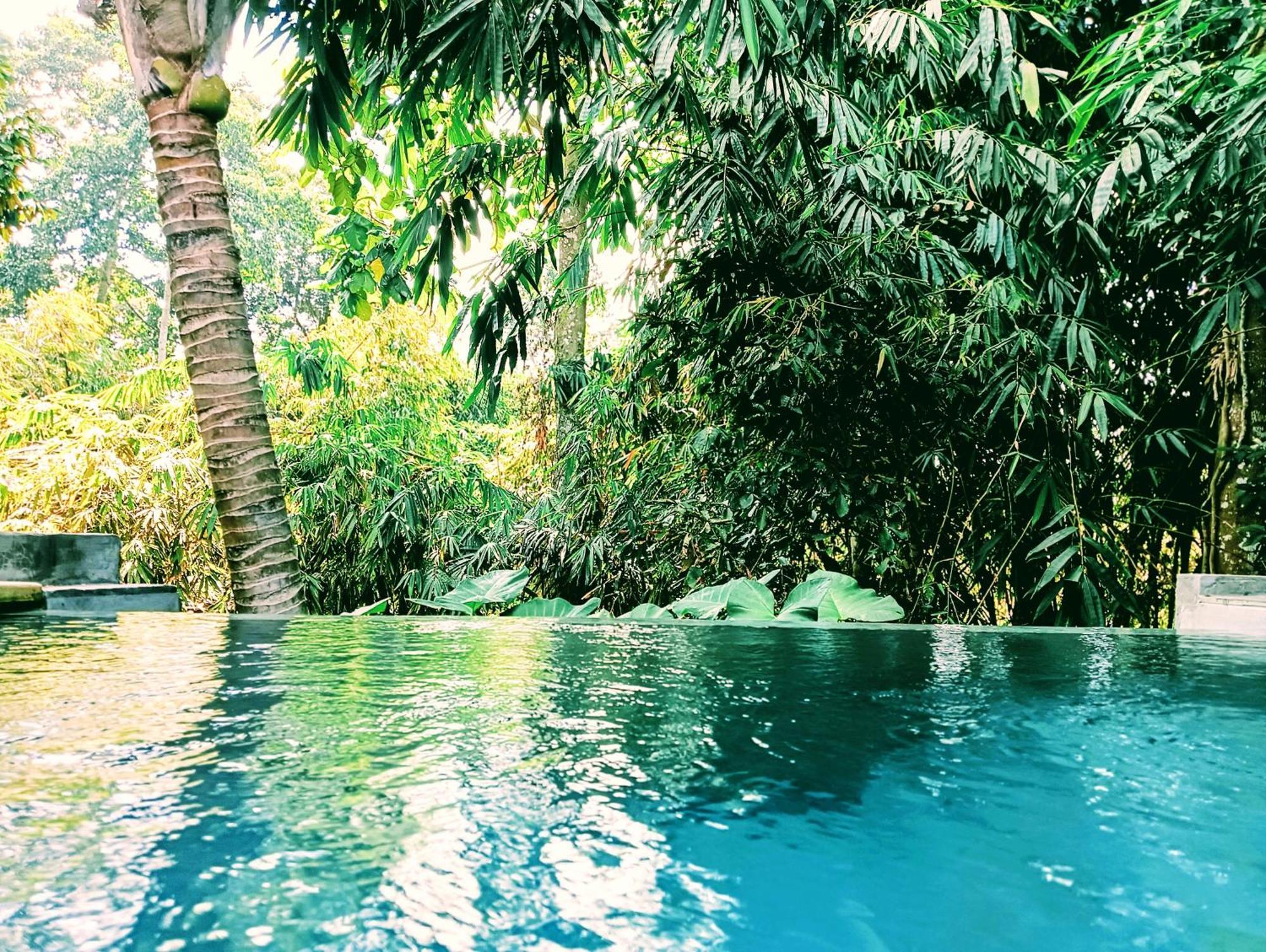 Hotel Ngesil Private Joglo & Pool Ubud Esterno foto